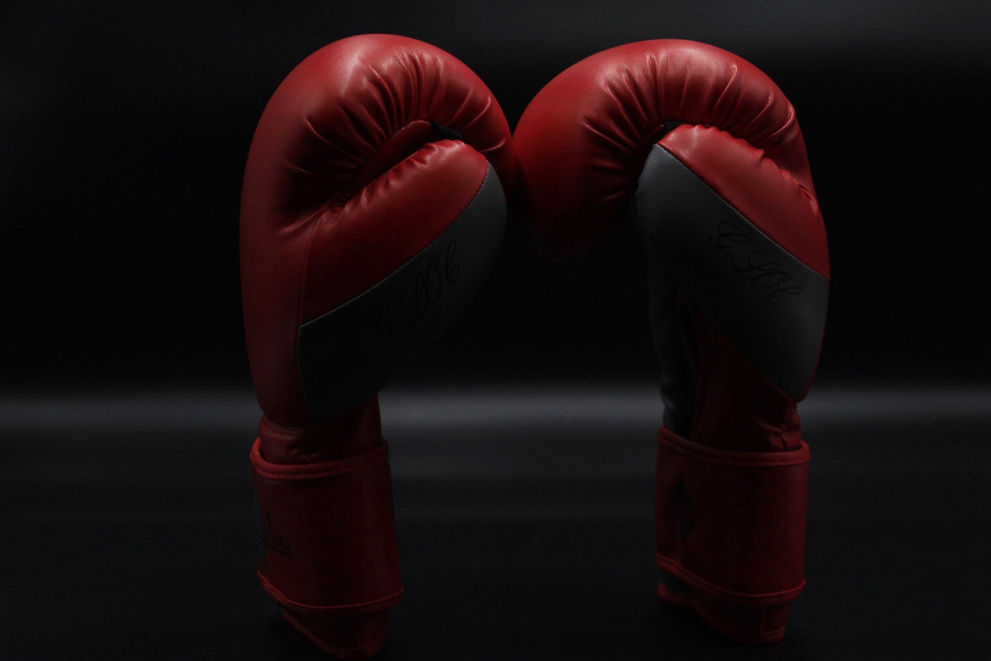 G-LOC Red & Grey Training Boxing Gloves | Lightweight Sparring & Heavy Bag Gloves